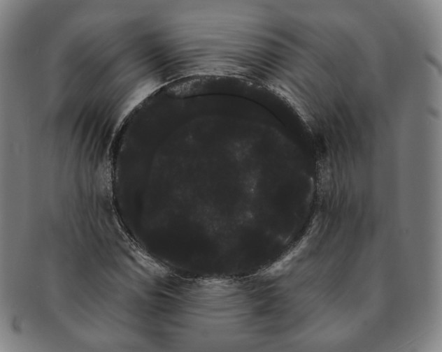 X0000091241114200708301532