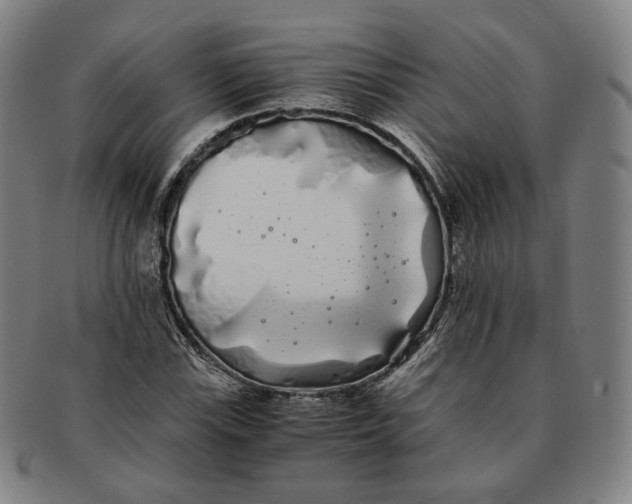 X0000091241115200708301532