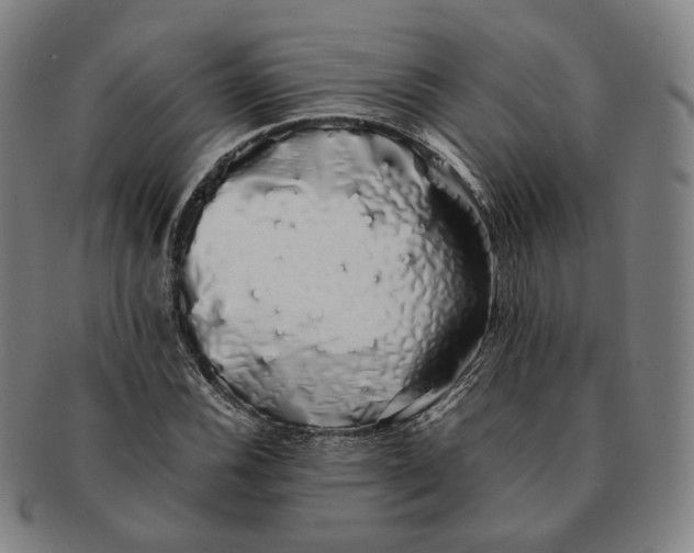 X0000091241116200708301532