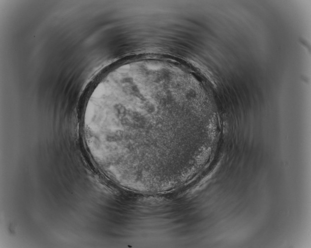 X0000091241117200708301532