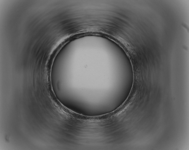 X0000091241118200708301532