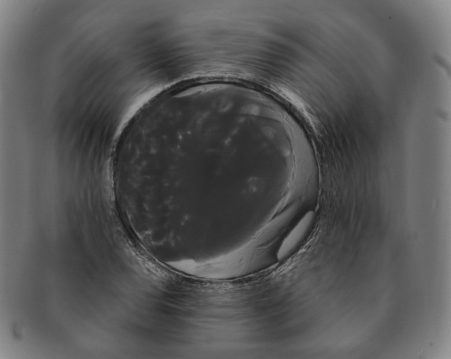 X0000091241120200708301532