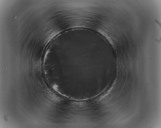 X0000091241121200708301532