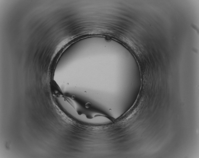 X0000091241122200708301532