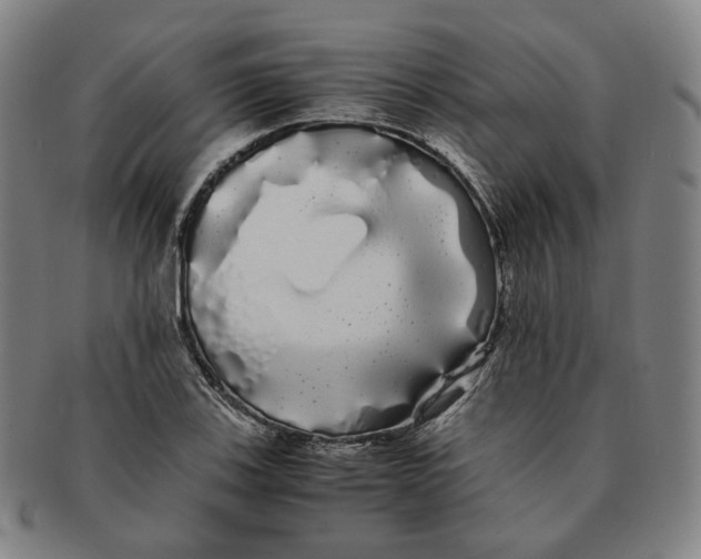 X0000091241123200708301532