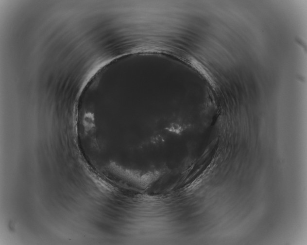 X0000091241124200708301532