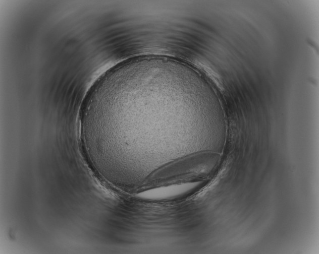 X0000091241125200708301532