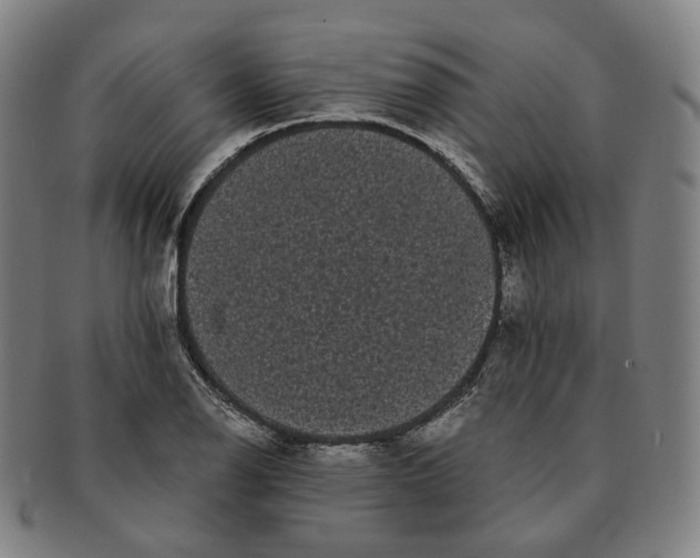 X0000091241126200708301532