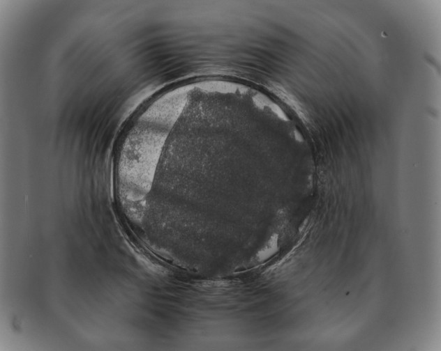 X0000091241127200708301532