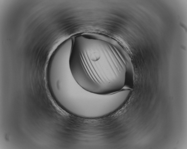 X0000091241128200708301532