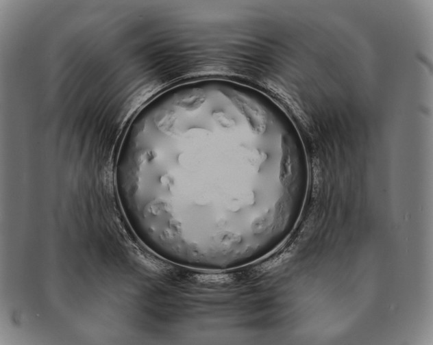 X0000091241129200708301532