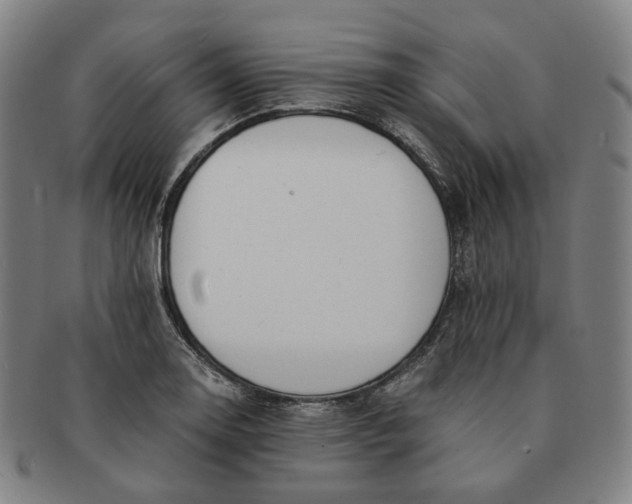 X0000091241130200708301532