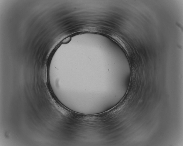 X0000091241131200708301532