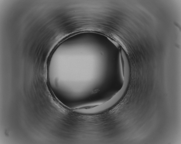 X0000091241132200708301532