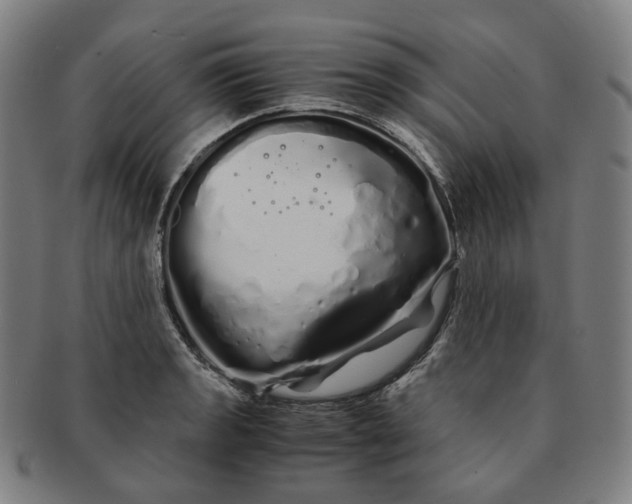 X0000091241133200708301532