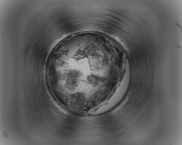 X0000091241134200708301532