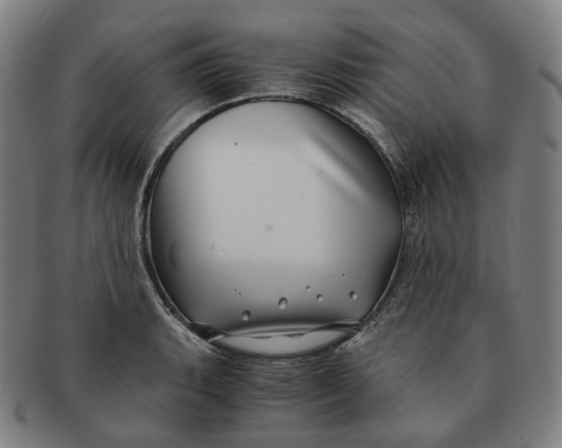 X0000091241135200708301532