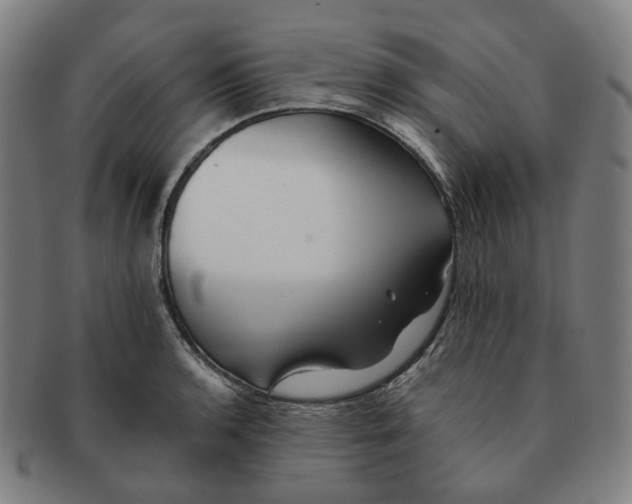 X0000091241136200708301532