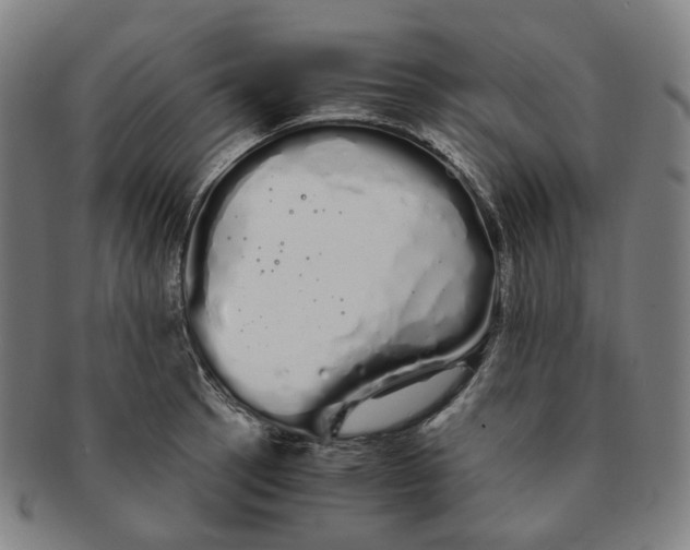 X0000091241137200708301532