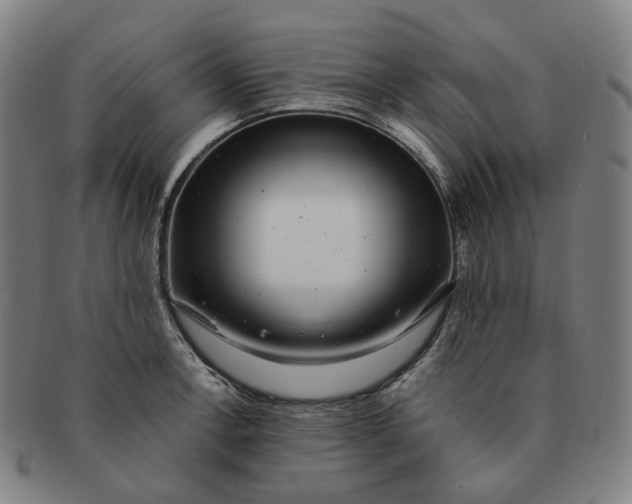 X0000091241138200708301532