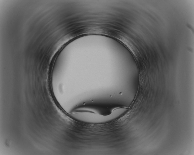 X0000091241139200708301532