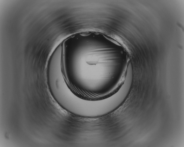 X0000091241140200708301532