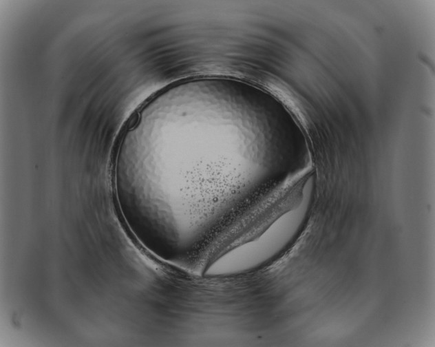 X0000091241141200708301532