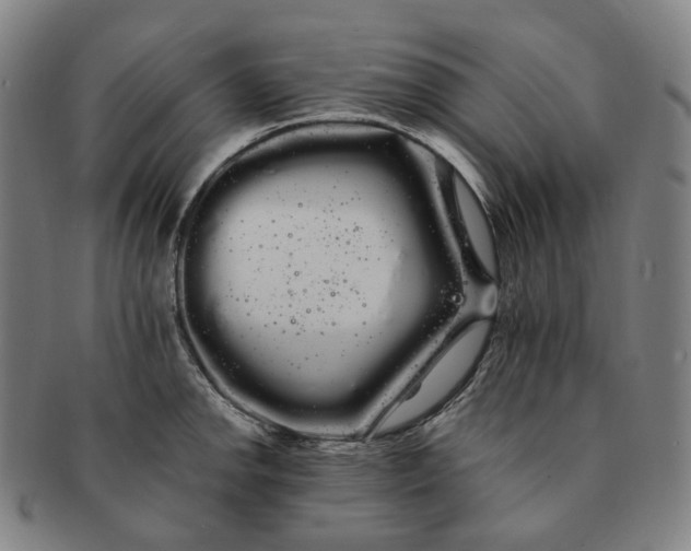 X0000091241142200708301532