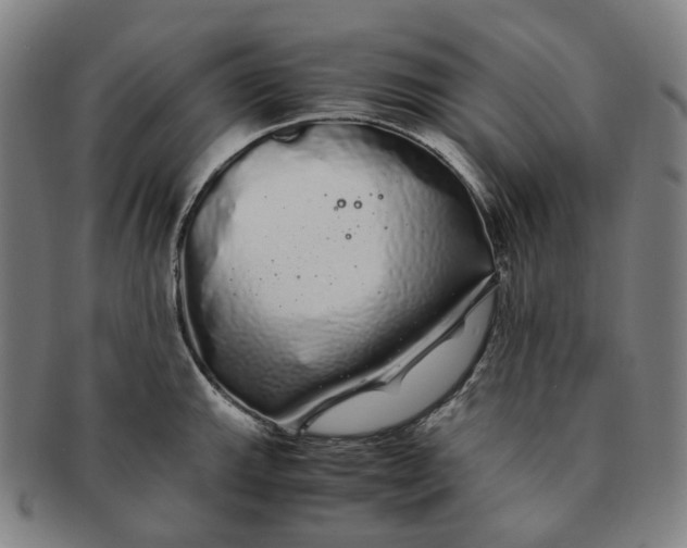 X0000091241143200708301532