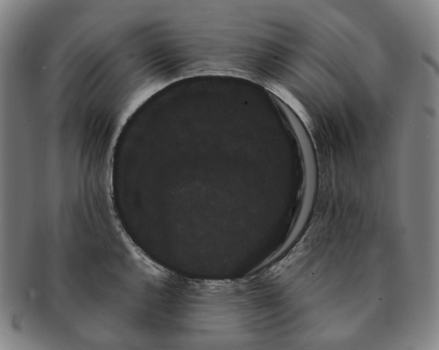 X0000091241144200708301532