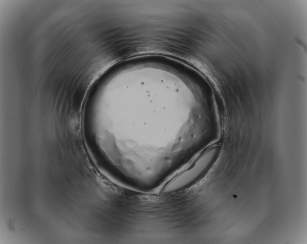 X0000091241145200708301532