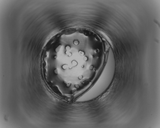 X0000091241146200708301532