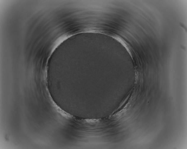 X0000091241147200708301532