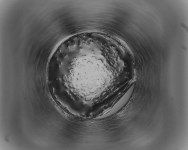 X0000091241148200708301532