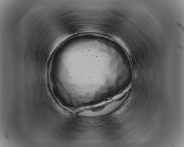 X0000091241149200708301532