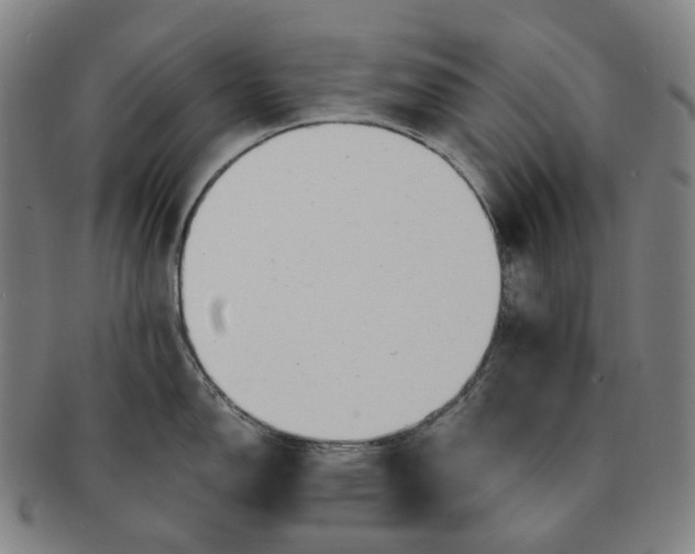 X0000091241150200708301532