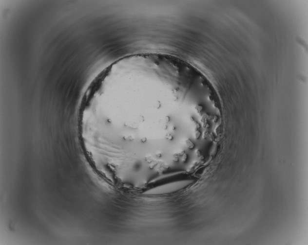 X0000091241152200708301532