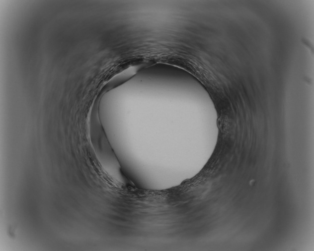 X0000091241153200708301532