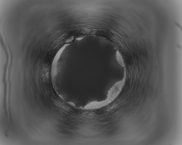 X0000091241154200708301532