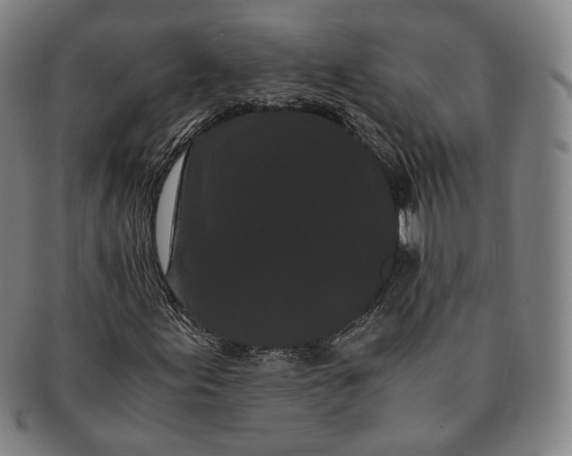 X0000091241155200708301532