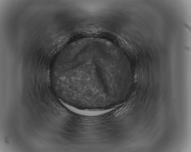 X0000091241156200708301532