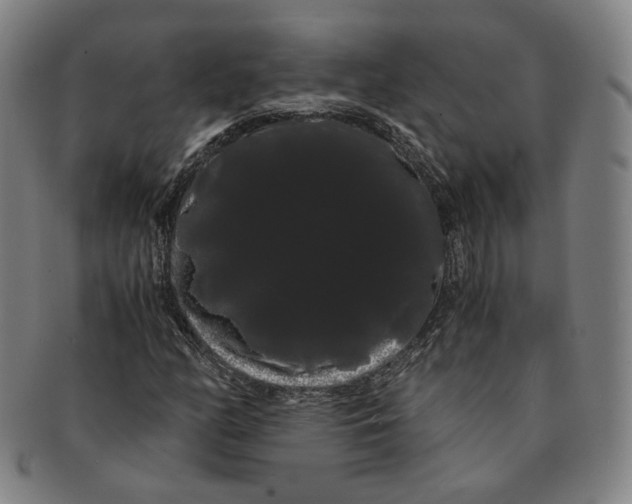 X0000091241158200708301532