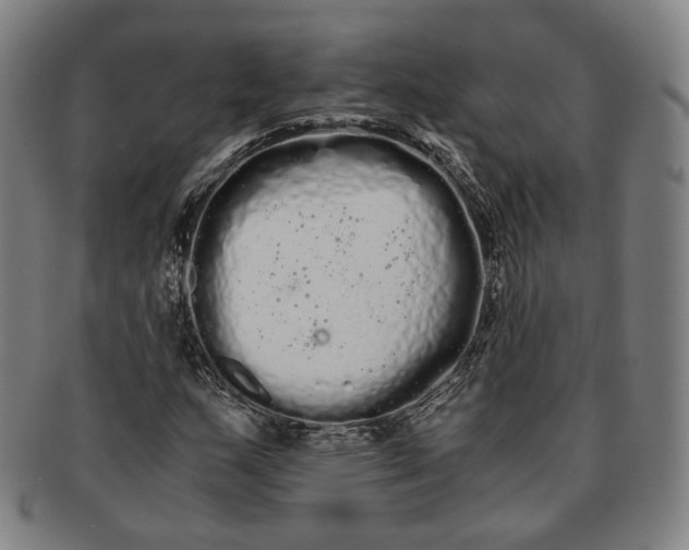 X0000091241159200708301532