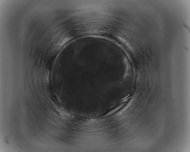 X0000091241161200708301532