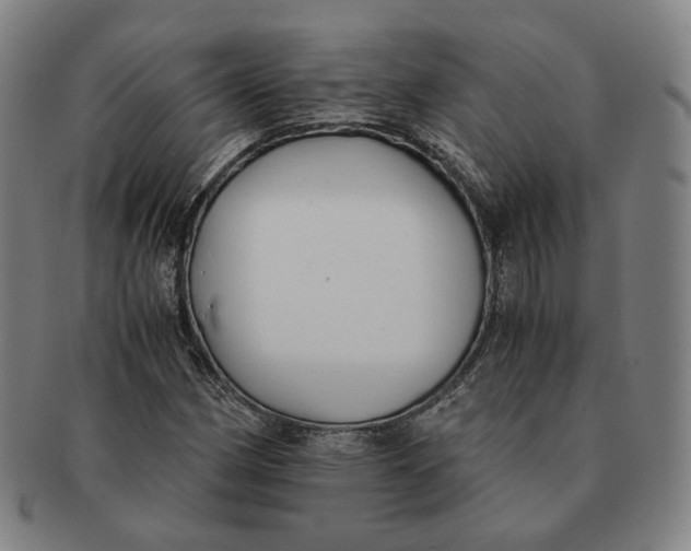 X0000091241162200708301532