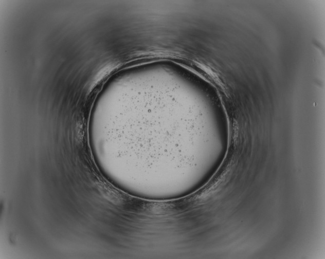 X0000091241163200708301532