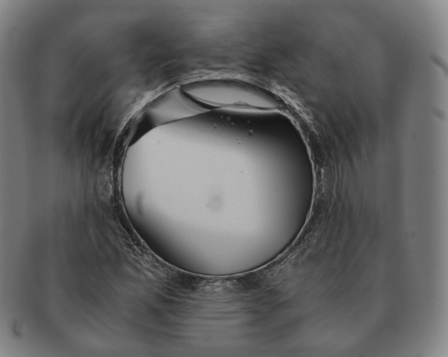 X0000091241165200708301532