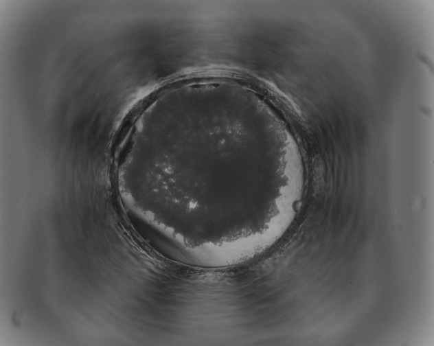 X0000091241166200708301532