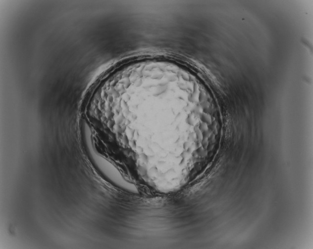 X0000091241168200708301532