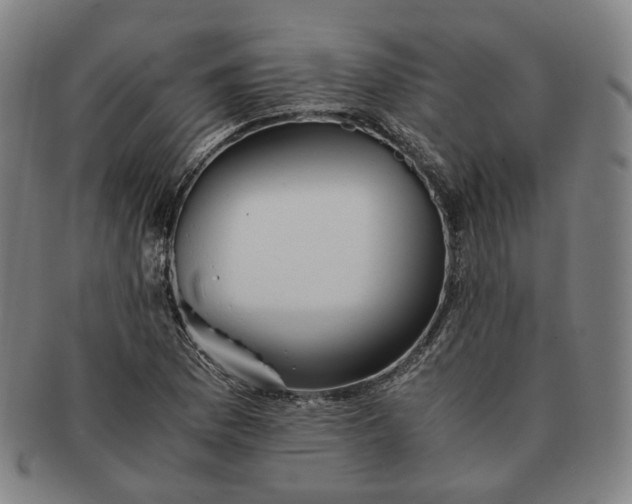 X0000091241169200708301532